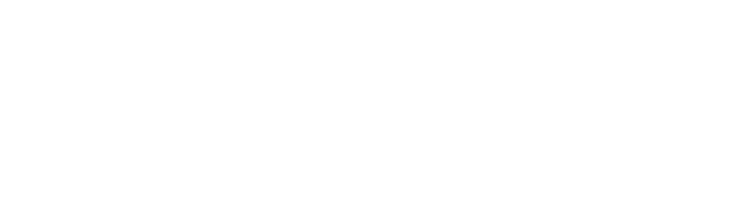 CoelhoVoip Network Security